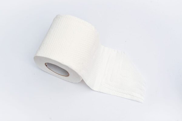 Compressed Toilet Roll - 6 Rolls - Image 3