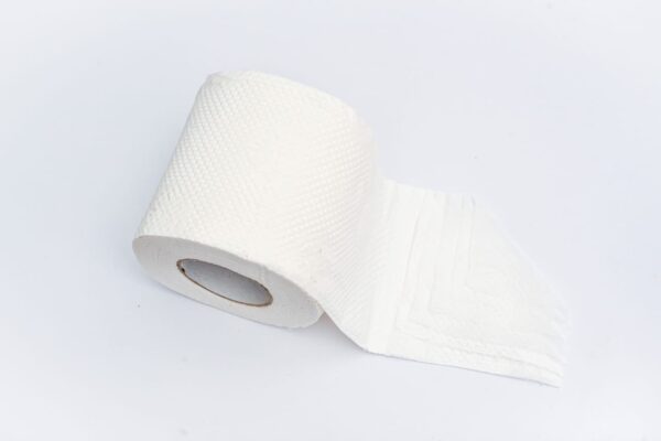 Compressed Toilet Roll - 6 Rolls - Image 2
